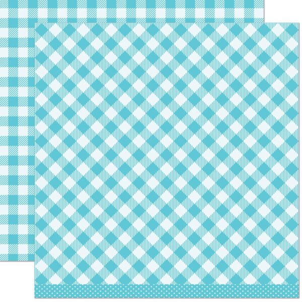 LF2755 Lawn Fawn Cardstock scrapbooking paper Gotta have gingham rainbow Dorothy B