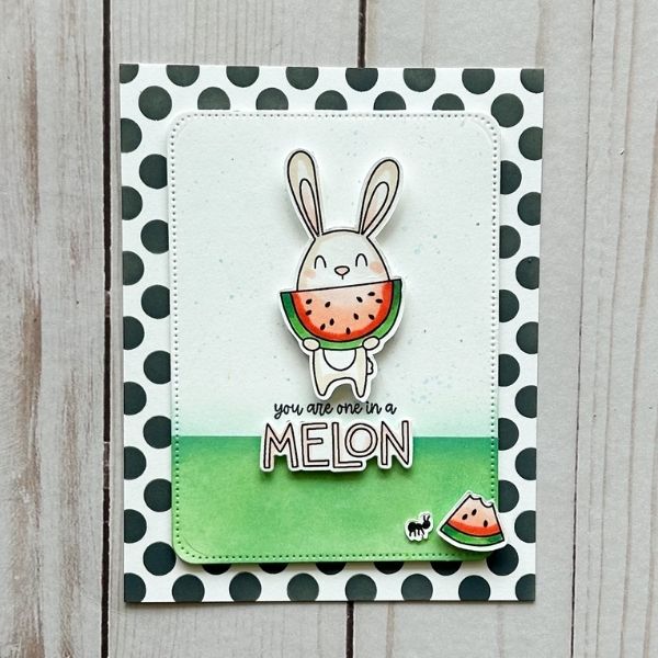 Avery Elle clear stamps one in a melon 24 11 vb (2)